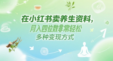 在小红书卖养生资料，月入四位数非常轻松，多种变现方式-搞钱专业户