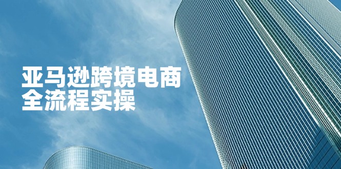 （14252期）亚马逊跨境电商全流程实操，教你从零开始，掌握店铺运营与广告技巧-搞钱专业户