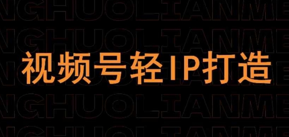 视频号线上课程，视频号轻IP打造-搞钱专业户