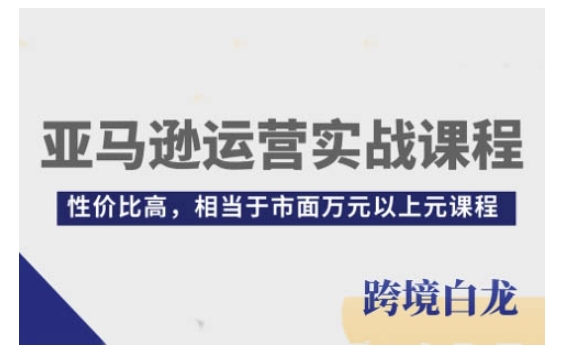 亚马逊运营实战课程，亚马逊从入门到精通，性价比高，相当于市面万元以上元课程-搞钱专业户