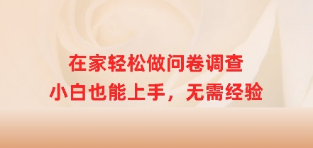 在家轻松做问卷调查，小白也能上手，无需经验-搞钱专业户