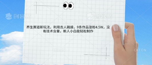 AI养生赛道新玩法，10条作品涨粉5.2W，操作简单，新人小白能轻松制作-搞钱专业户