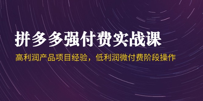 （14874期）拼多多强付费实战课-44期，高利润产品项目经验，低利润微付费阶段操作-搞钱专业户
