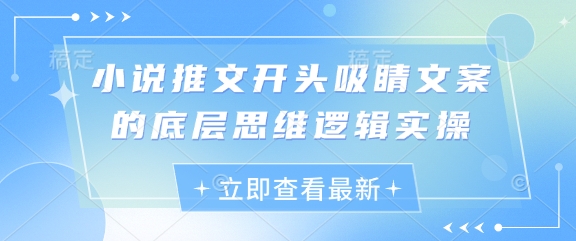 小说推文开头吸睛文案的底层思维逻辑实操-搞钱专业户