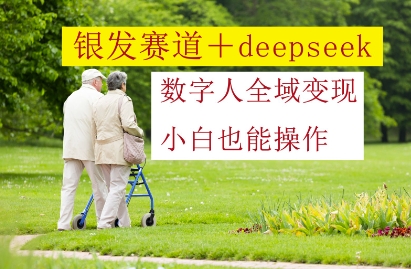 银发赛道+deepseek数字人全域变现，小白也能操作-搞钱专业户