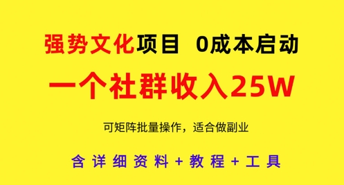强势文化项目，一个社群收入25个W，0成本启动，可矩阵批量操作，原创详细实操教程-搞钱专业户