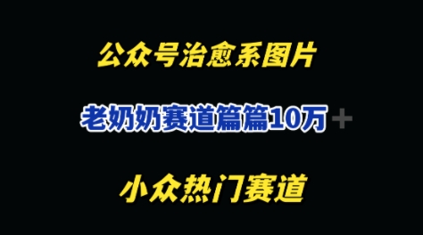公众号老奶奶治愈系流量主，篇篇10W+-搞钱专业户