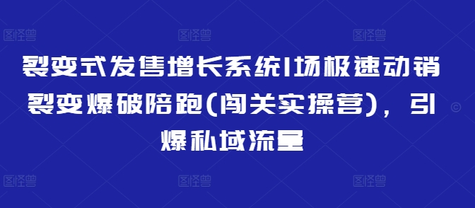裂变式发售增长系统1场极速动销裂变爆破陪跑(闯关实操营)，引爆私域流量-搞钱专业户