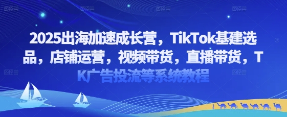 2025出海加速成长营，TikTok基建选品，店铺运营，视频带货，直播带货，TK广告投流等系统教程-搞钱专业户