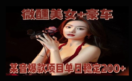 微醺美女+豪车，抖音爆款项目单日稳定2张+-搞钱专业户