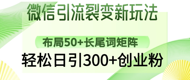 微信引流裂变新玩法：布局50+长尾词矩阵，轻松日引300+创业粉-搞钱专业户