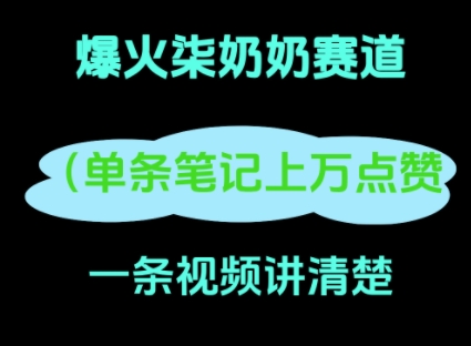 小红书爆火柒奶奶，13 天涨粉 8.7 W，全流程拆解-搞钱专业户