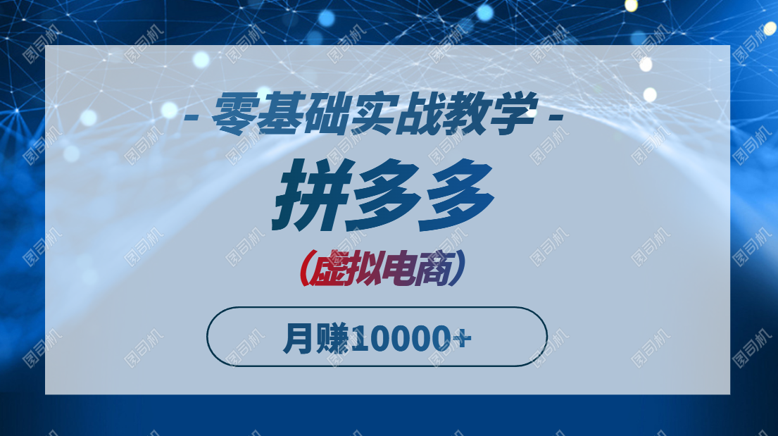 （14880期）拼多多虚拟电商，零基础实战教学，快速打爆商品，新手也能月入10000+-搞钱专业户