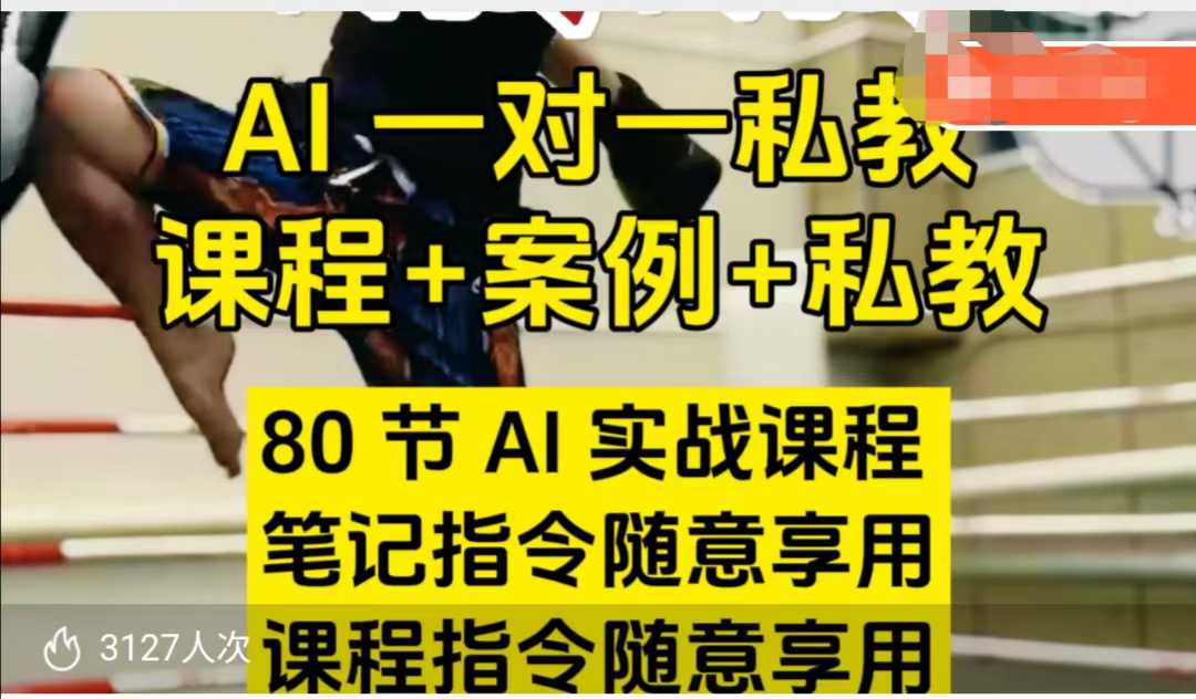 AI指令实战课，课程+案例，80节AI实战课程，笔记指令随意享用，课程指令随意享用-搞钱专业户