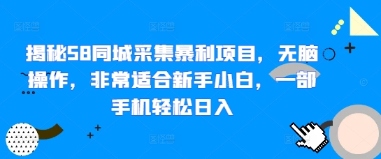 揭秘58同城采集暴利项目，无脑操作，非常适合新手小白，一部手机轻松日入-搞钱专业户