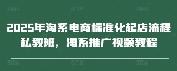 2025年淘系电商标准化起店流程私教班，淘系推广视频教程-搞钱专业户