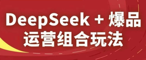 DeepSeek+爆品运营组合玩法，2025淘系精品课-搞钱专业户