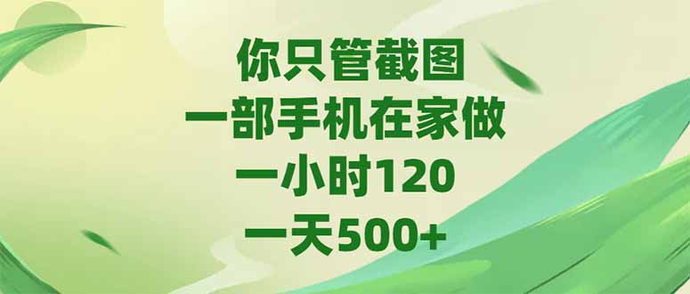（15039期）你只管截图，一部手机在家做，一小时120，-天500+-搞钱专业户