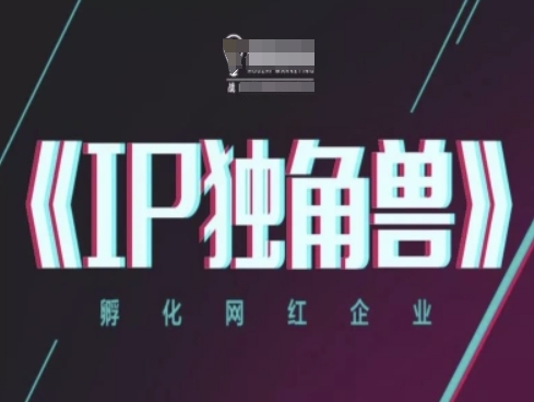 IP独角兽，孵化网红企业，ip教程-搞钱专业户