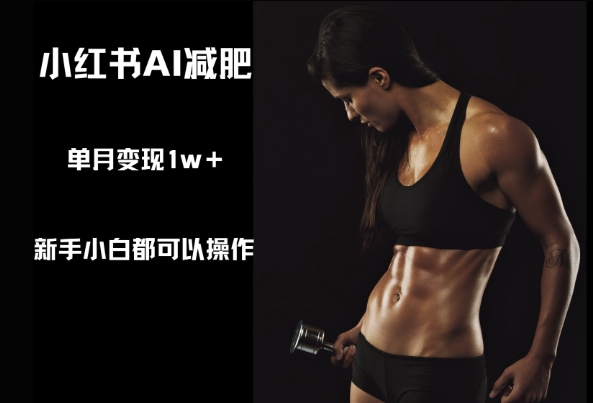 小红书AI减肥，新手小白都可以操作，单月变现1w+-搞钱专业户