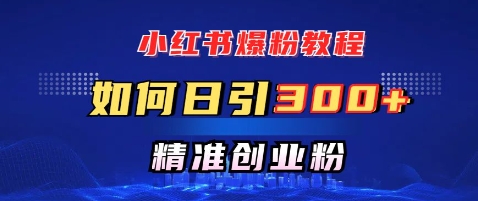 小红书爆粉教程，如何日引300+创业粉，快速实现精准变现-搞钱专业户