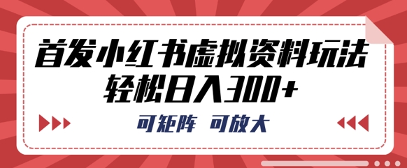 首发小红书虚拟资料玩法，可矩阵，可放大，轻松日入3张-搞钱专业户
