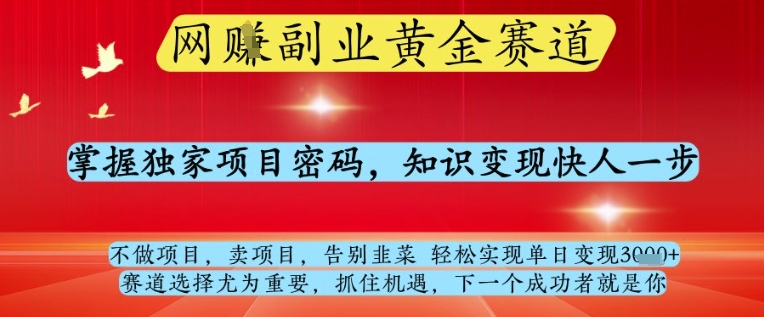 网创副业黄全赛道，掌握独家项目密码，知识变现快人一步，告别韭菜轻松实现单日变现1k+【揭秘】-搞钱专业户