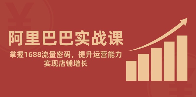 （14830期）阿里巴巴实战课：掌握1688流量密码，提升运营能力，实现店铺增长-搞钱专业户