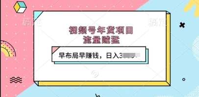 视频号年货项目，流量贼猛，早布局早挣钱，日入上k【揭秘】-搞钱专业户