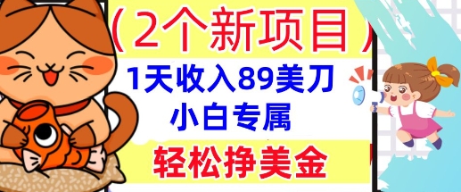 2个新项目，轻松挣美金， 1天收入89美刀，小白专属，干货分享-资源分享吧