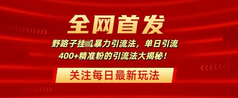 全网首发，野路子暴力引流法，单日引流400+精准粉的引流法大揭秘-搞钱专业户