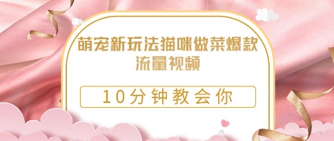萌宠新玩法猫咪做菜爆款流量视频，10分钟教会你-搞钱专业户