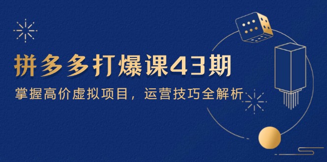 （14546期）拼多多打爆课第 43 期，掌握高价虚拟项目，运营技巧全解析（15节）-搞钱专业户