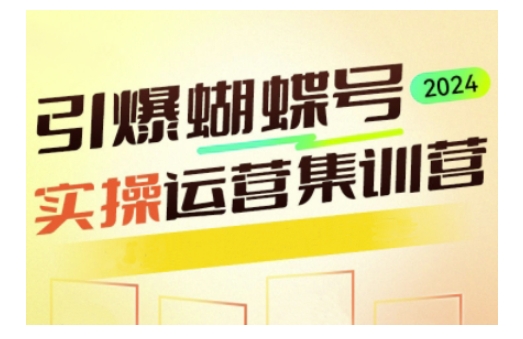 引爆蝴蝶号实操运营，助力你深度掌握蝴蝶号运营，实现高效实操，开启流量变现之路-搞钱专业户
