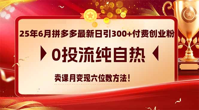 （14989期）25年6月拼多多最新日引300+付费创业粉，0投流纯自热 卖课月变现六位数方法-搞钱专业户