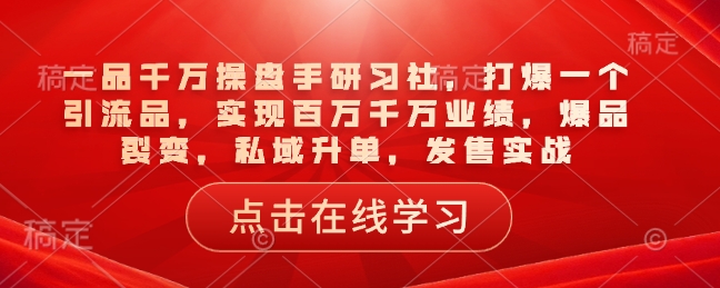 一品千万操盘手研习社，打爆一个引流品，实现百万千万业绩，爆品裂变，私域升单，发售实战-搞钱专业户