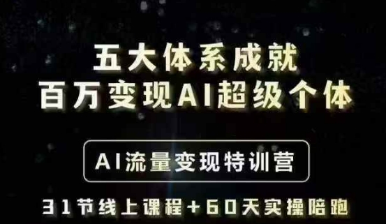 五大体系成就百万变现AI超级个体- AI流量变现特训营，一步一步教你一个人怎么年入百W-搞钱专业户