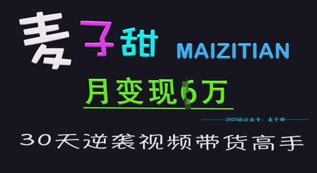 麦子甜30天逆袭视频带货高手，单月变现6W加特训营-搞钱专业户
