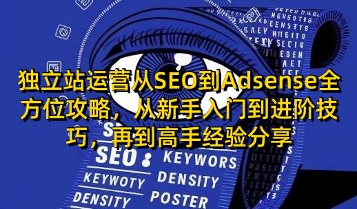 独立站运营从SEO到Adsense全方位攻略，从新手入门到进阶技巧，再到高手经验分享-搞钱专业户