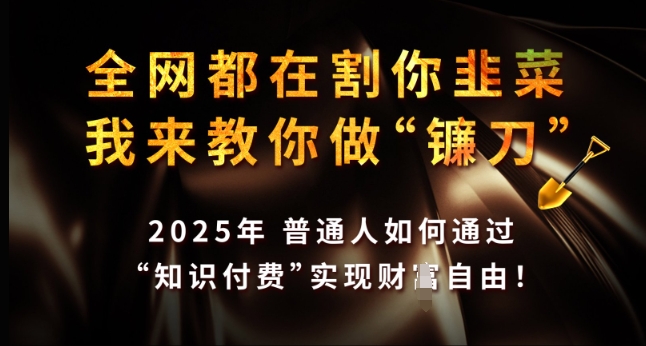 全网都在割你韭菜，我来教你做镰刀，2025年普通人如何通过 知识付费 实现财F自由【揭秘】-搞钱专业户