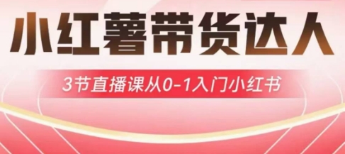 小红薯达人带货启航计划，3节直播课从0-1入门小红书-搞钱专业户