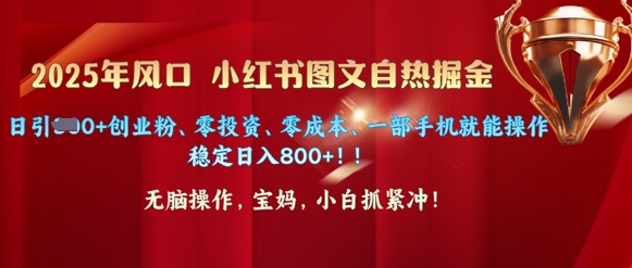 25年风口小红书图文掘金，日引300+创业粉、零投资、零成本、一部手机就能操作-搞钱专业户