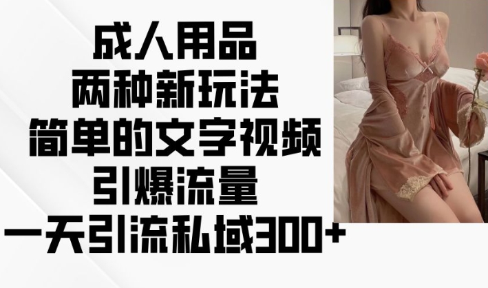 成人用品两种新玩法，简单的文字视频引爆流量，一天引流私域300+-搞钱专业户