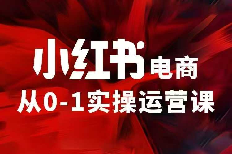 小红书电商运营，97节小红书vip内部课，带你实现小红书赚钱-搞钱专业户