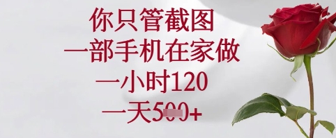 你只管截图，一部手机在家可以做，一小时120.一天5张+【揭秘】-搞钱专业户
