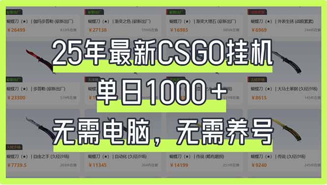（14178期）25年最新CSGO挂机系统，单日1000+，无需电脑，无需养号，0基础可上手-搞钱专业户
