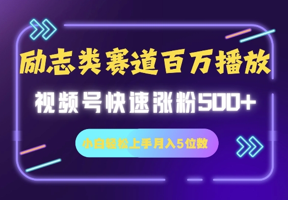 励志类赛道也能百万播放，快速涨粉500+视频号变现月入5位数-搞钱专业户