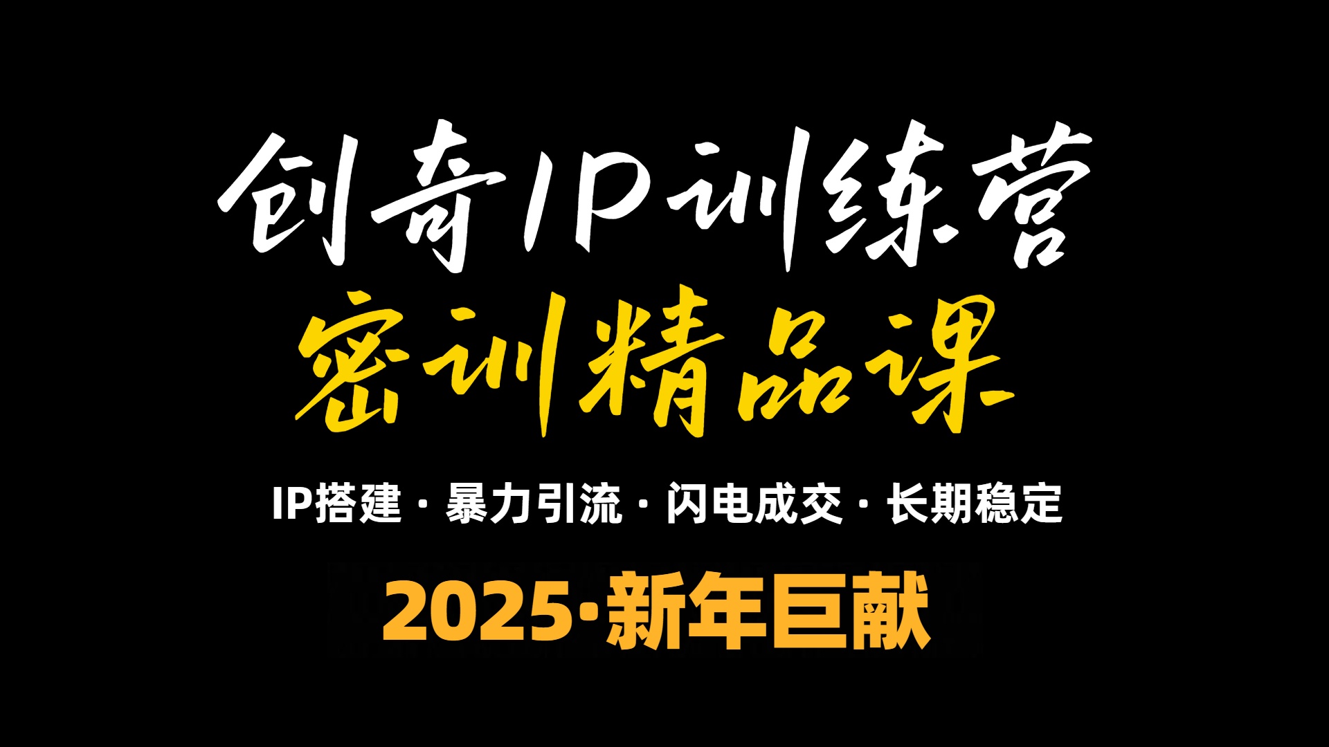 （13898期）2025年“知识付费IP训练营”小白避坑年赚百万，暴力引流，闪电成交-搞钱专业户