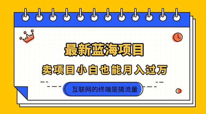 （14289期）2025年最新蓝海项目，卖项目小白也能月入过万-搞钱专业户