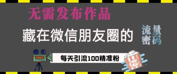 藏在微信朋友圈的流量密码，无需发布作品，单日引流100+精准创业粉【揭秘】-搞钱专业户